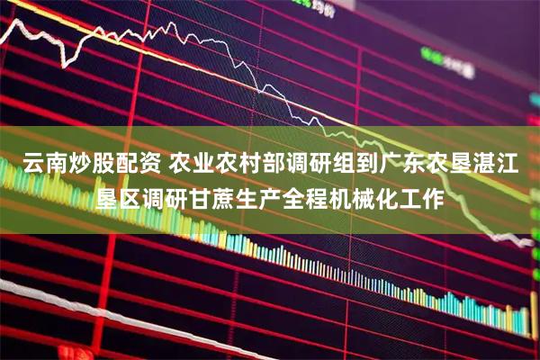 云南炒股配资 农业农村部调研组到广东农垦湛江垦区调研甘蔗生产全程机械化工作