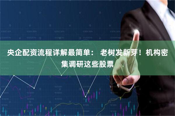 央企配资流程详解最简单： 老树发新芽！机构密集调研这些股票