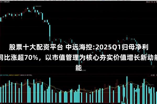 股票十大配资平台 中远海控:2025Q1归母净利同比涨超70%，以市值管理为核心夯实价值增长新动能