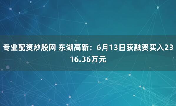 专业配资炒股网 东湖高新：6月13日获融资买入2316.36万元