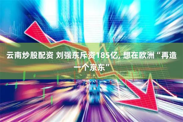 云南炒股配资 刘强东斥资185亿, 想在欧洲“再造一个京东”